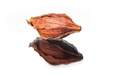 《绝地求生》创始人开放世界生存新作 超逼真自然环境